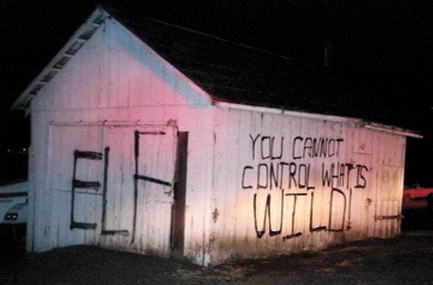 A building painted with "ELF" and "you cannot control what is wild!"